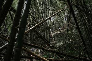 BIB: 
                            <button type="button" onclick="openModal(22241987)" class="btn btn-primary btn-sm float-right btn-popup" data-toggle="modal" data-target=".modal-high-quality">
                        <i class="fas fa-shopping-cart"></i> Add to Cart
                    </button>
                                            <button type="button" onclick="isThisMe(22241987, true)" class="btn btn-success btn-sm float-right btn-popup btn-isme hidden" data-toggle="tooltip" data-placement="bottom" title="นี่คือรูปของคุณใช่ไหม คลิกที่นี่เพื่อเอาเข้าอัลบั้ม">
                        <i class="fas fa-plus"></i> Add to album
                    </button>
                    <button type="button" onclick="isThisMe(22241987, false)" class="btn btn-warning btn-sm float-right btn-popup btn-isnotme hidden">
                        <i class="fas fa-ban"></i> Remove from album
                    </button>